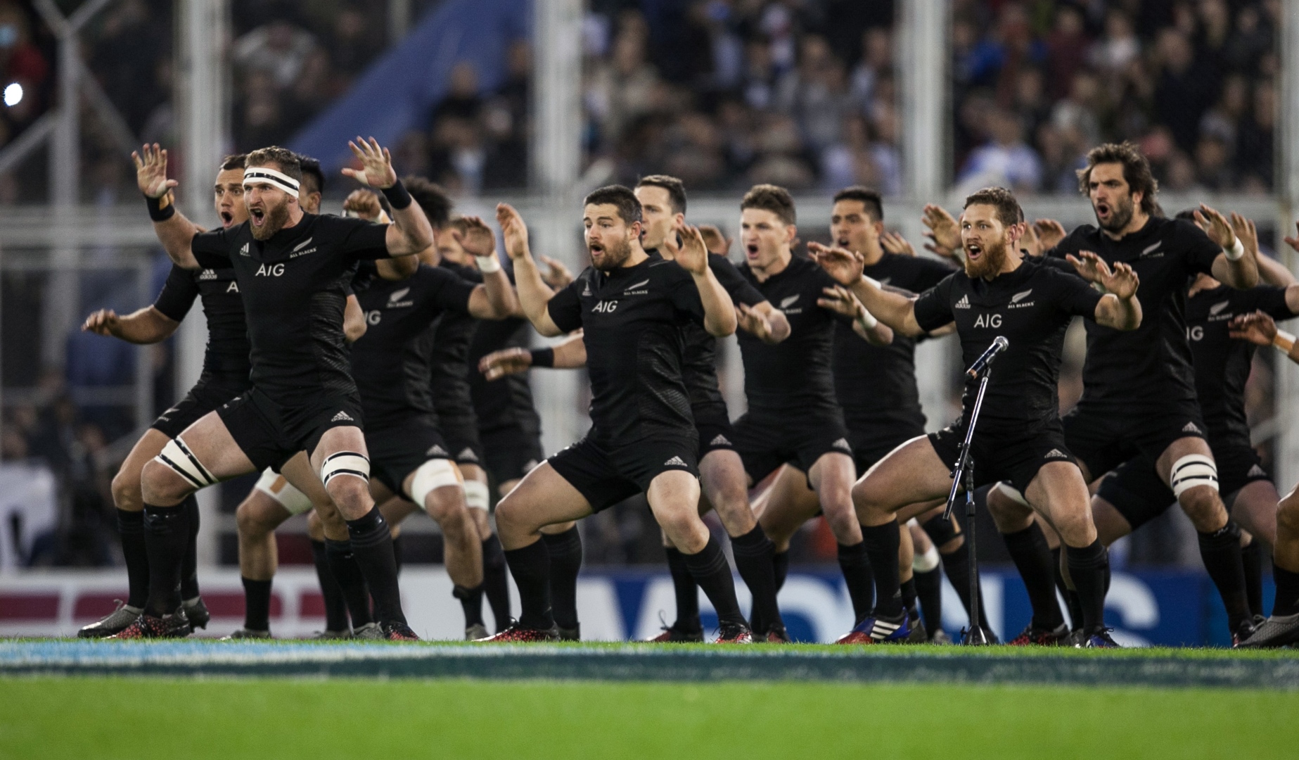 LionsWatch: Focus on the All Blacks