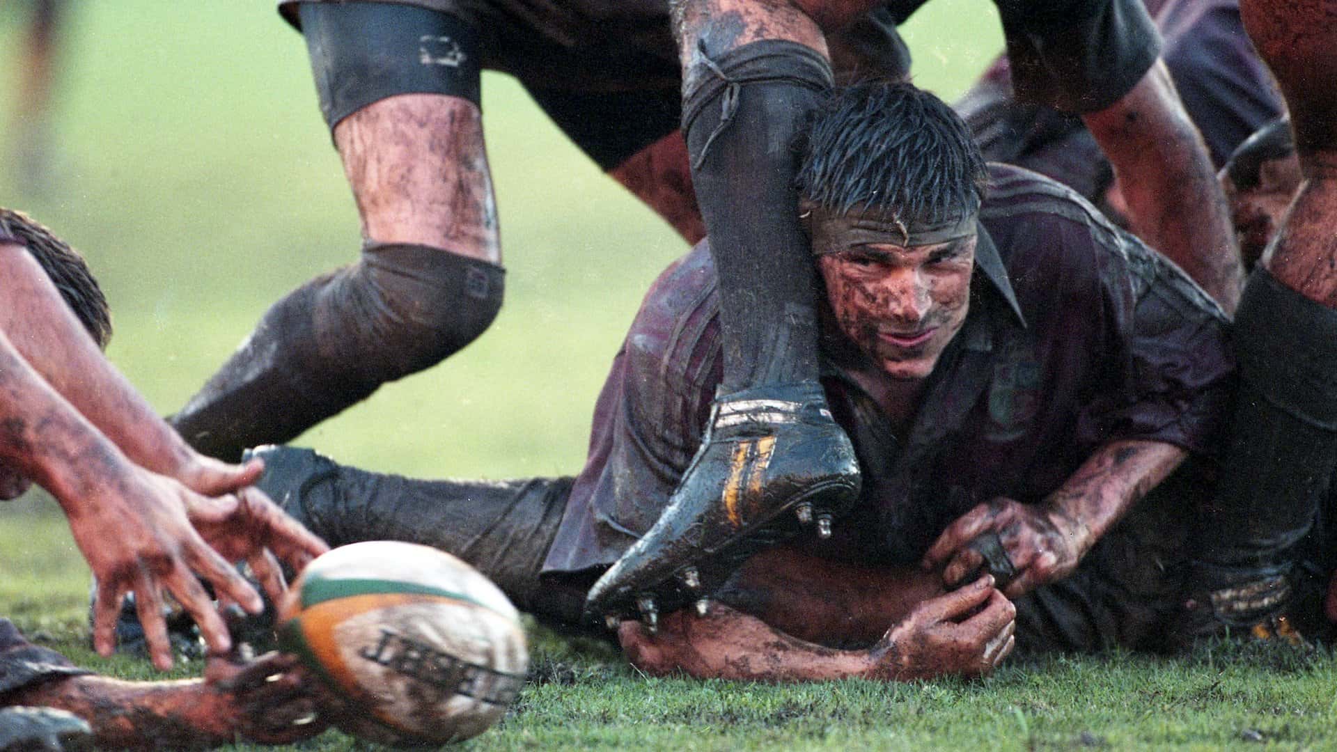 Lions Legend: Rob Wainwright