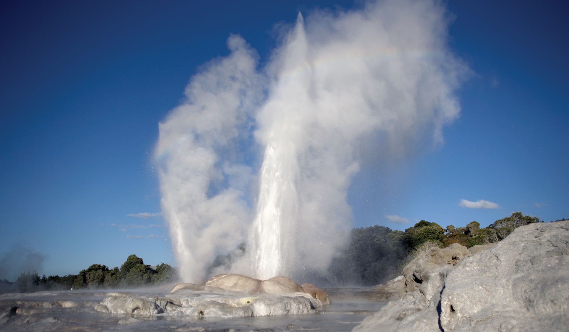 In Focus: Rotorua