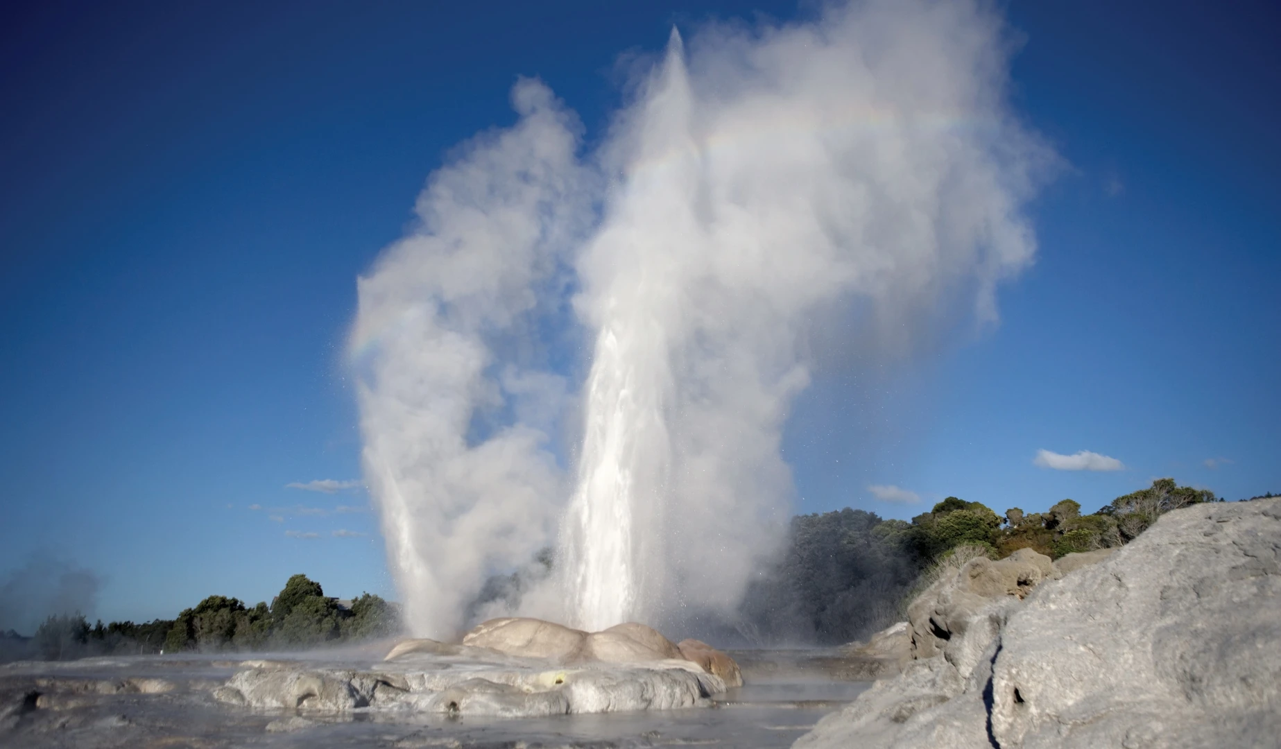 In Focus: Rotorua