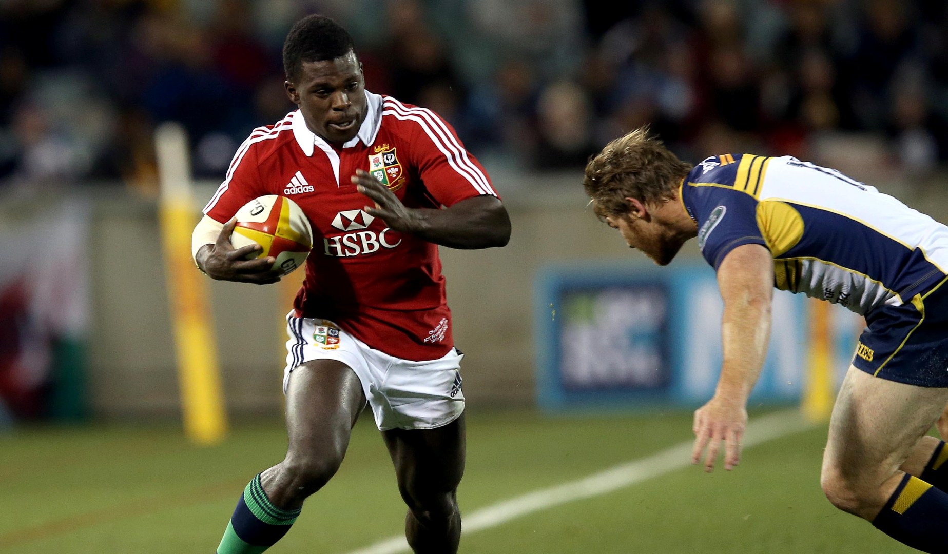 LionsWatch: Wade and England stars shine as Wasps go back top