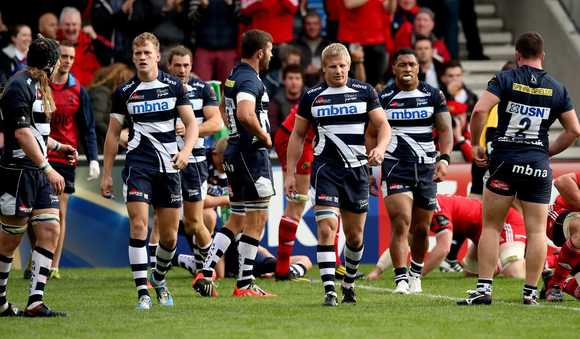 LionsWatch Club Profile: Sale Sharks