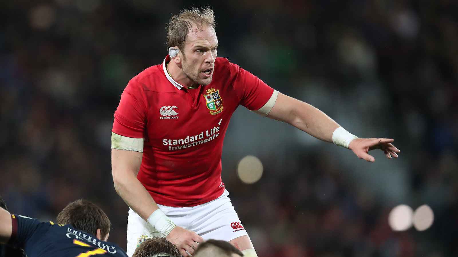 Feature: My favourite Lions