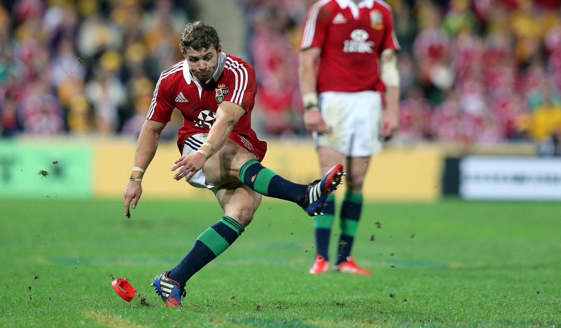 LionsWatch: Halfpenny returns for Wallaby clash