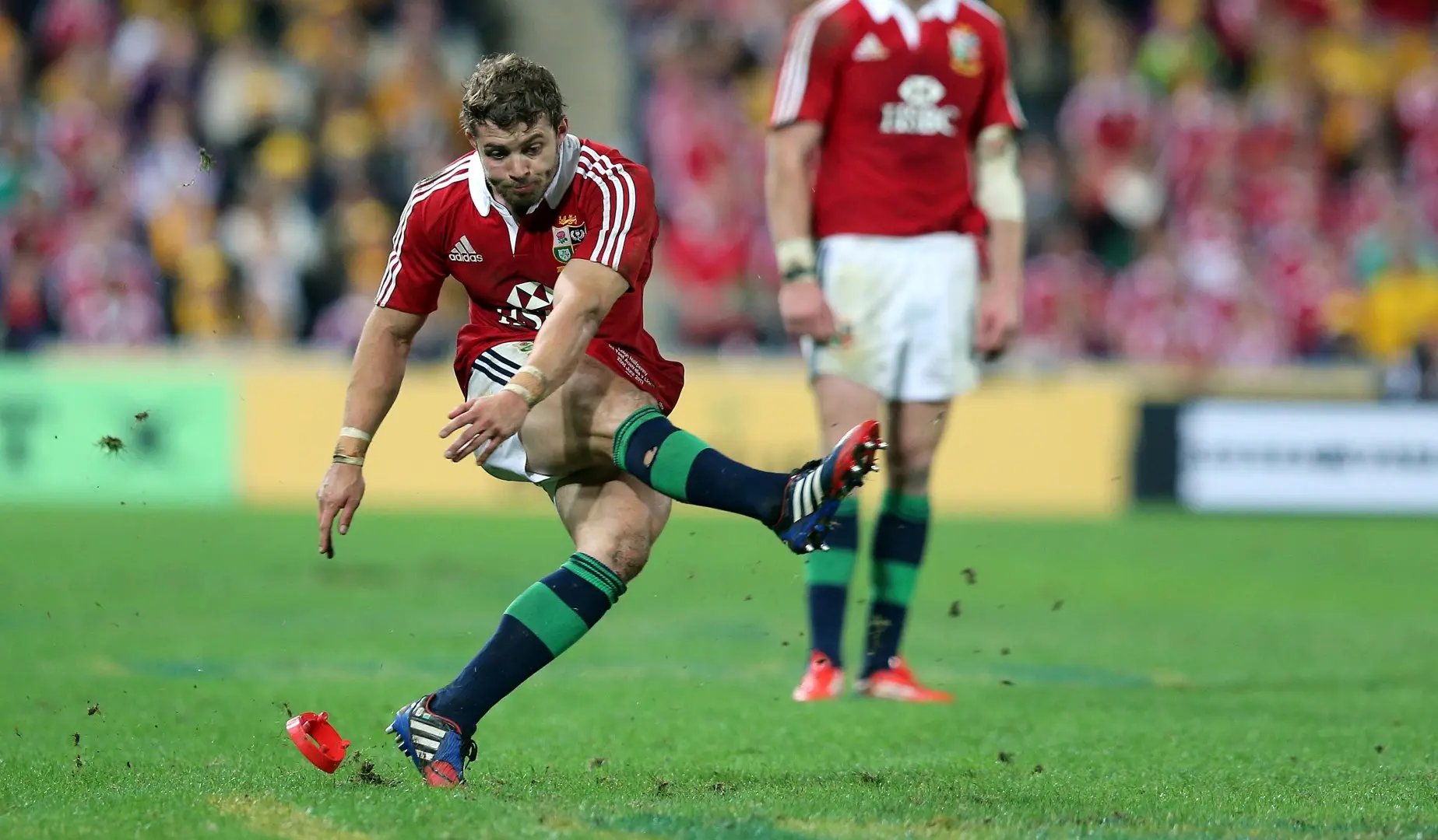 LionsWatch: Halfpenny returns for Wallaby clash