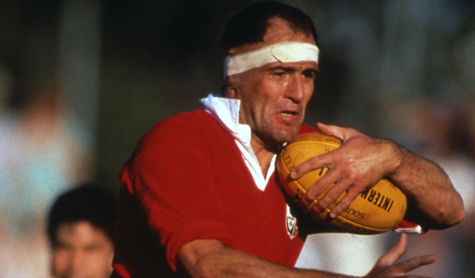 Your Club Your Lions: Plymouth Albion RFC