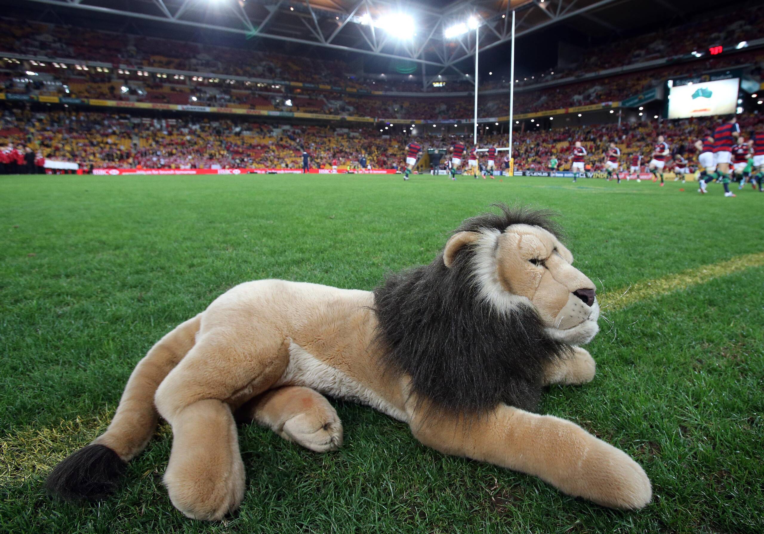 Terms & Conditions - Attend the Head Coach announcement with a guest