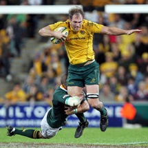 Elsom moves to Japan