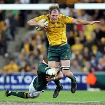 Elsom moves to Japan