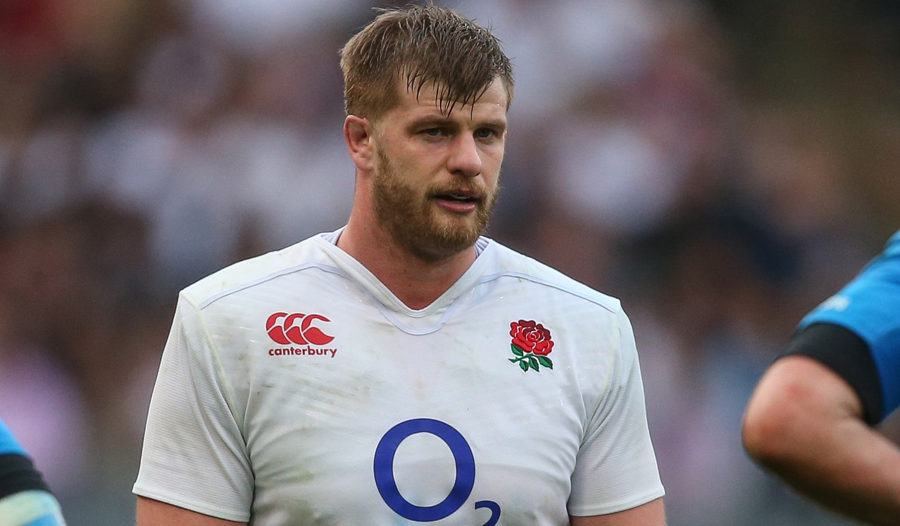 LionsWatch: Kruis returns as England prepare for Pumas