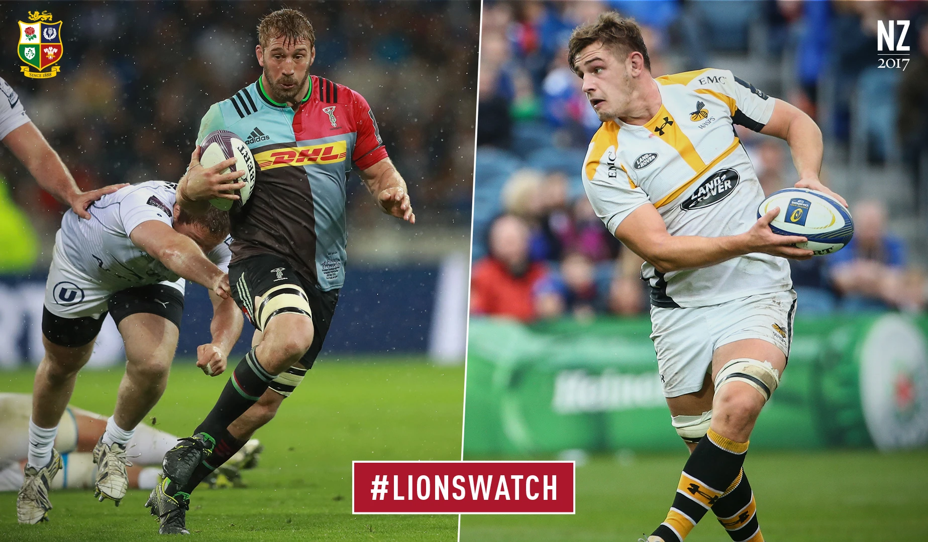 LionsWatch: Harlequins look to topple Aviva Premiership's top dogs