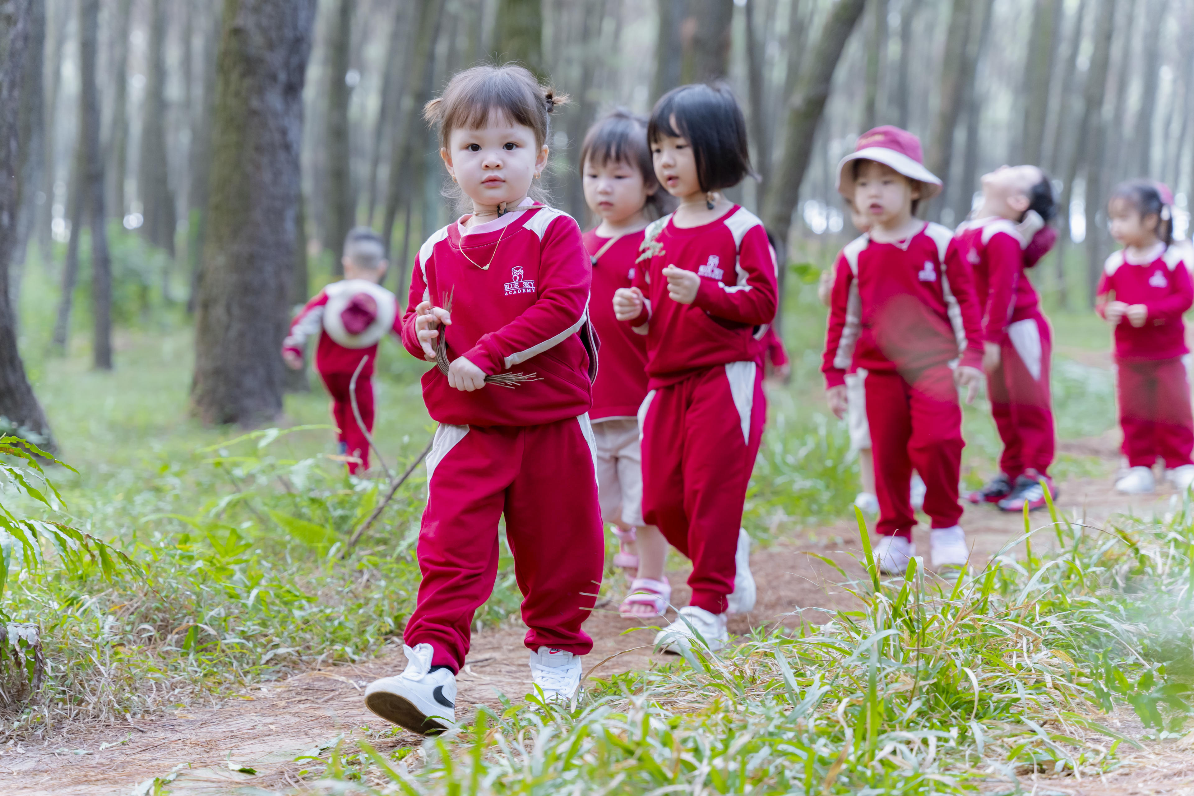 Cover Image for A LESSON AT PINE FOREST