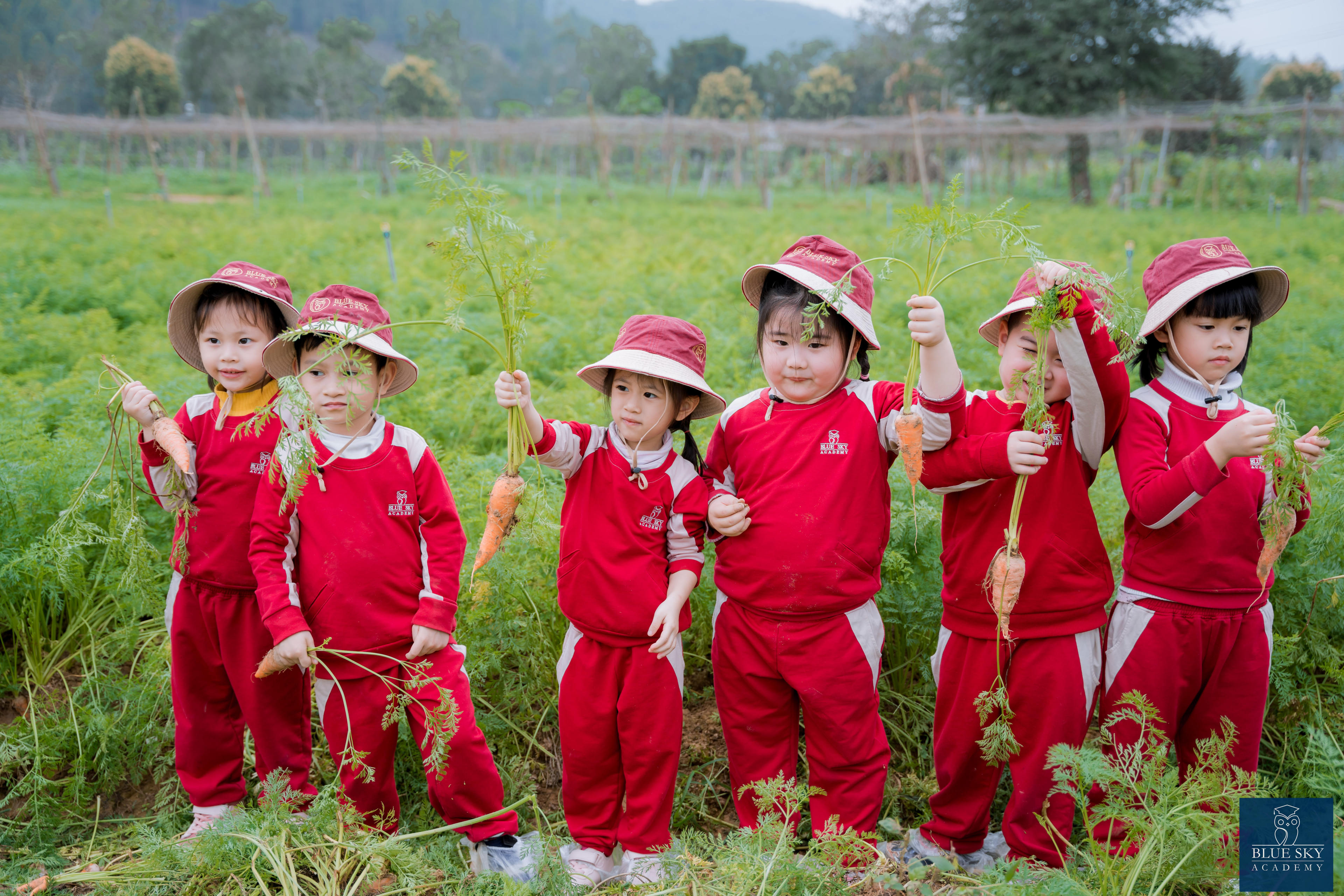 Cover Image for BSA KINDERGARTEN | HAPPY FARM