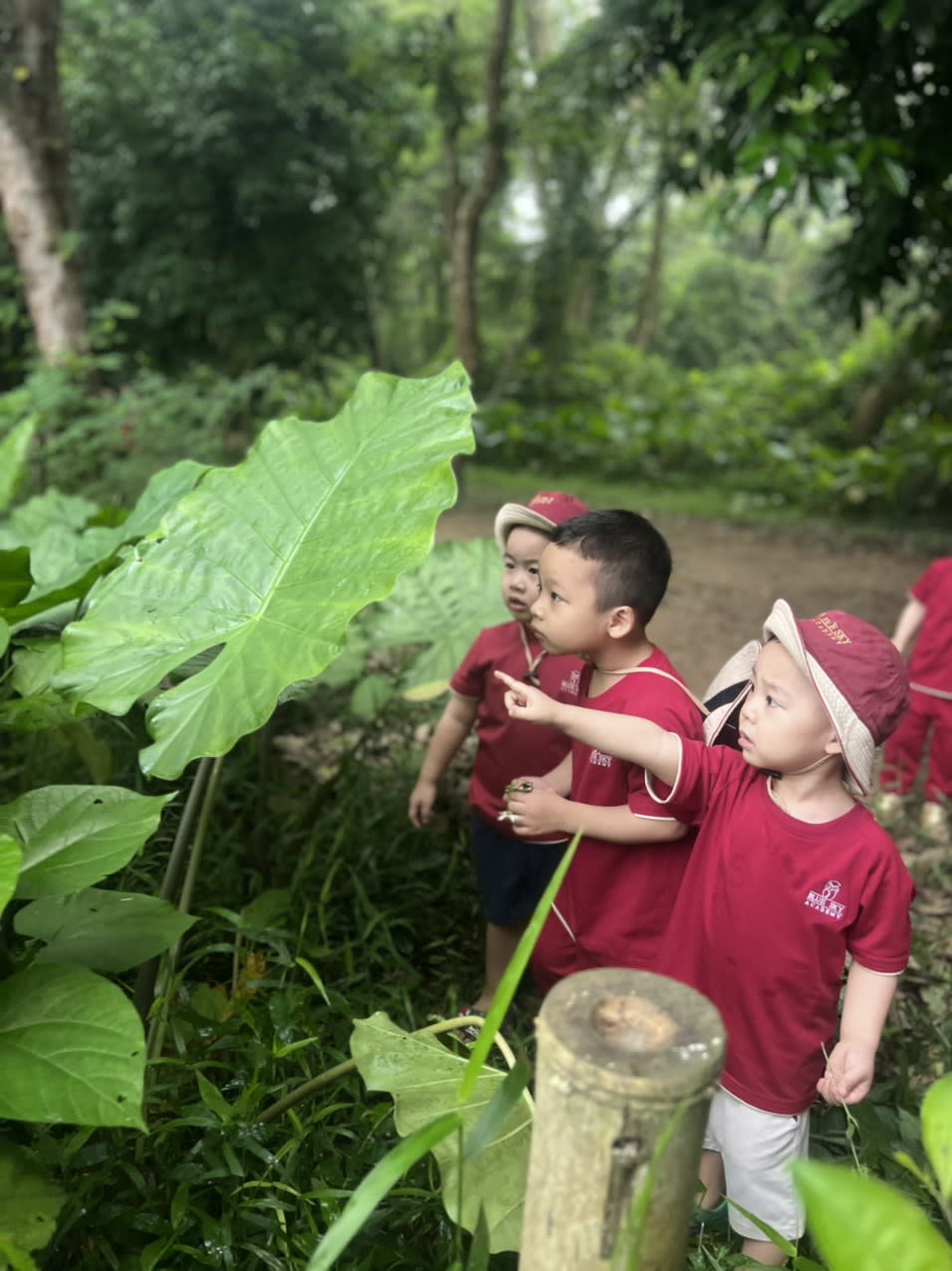 Cover Image for THE GO-GREEN FIELDTRIP OF BSA KINDERGARTEN