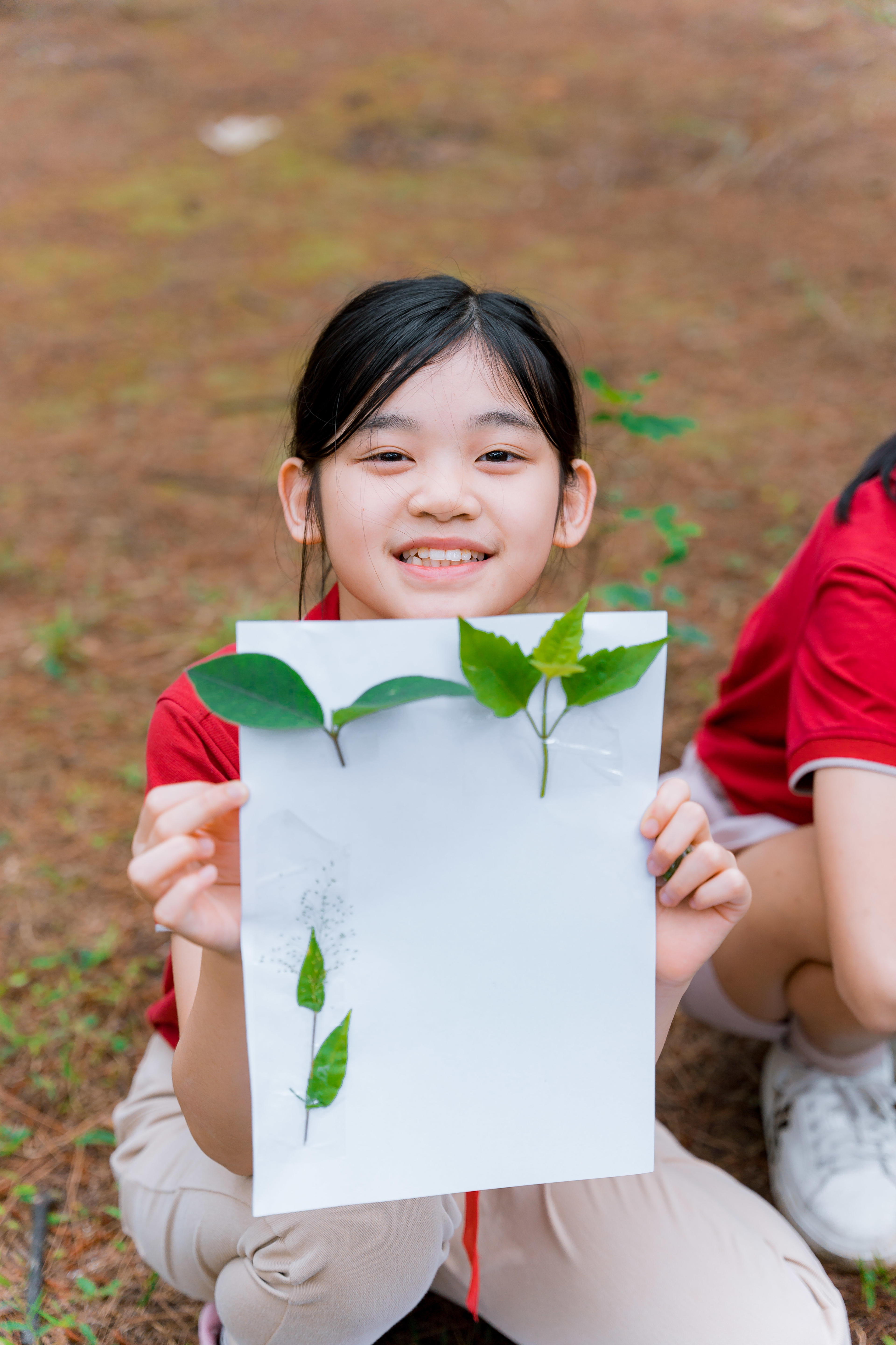 Cover Image for CLASSROOMS WITHOUT WALLS