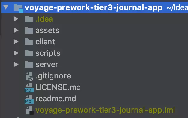 Initial flutter folder structure