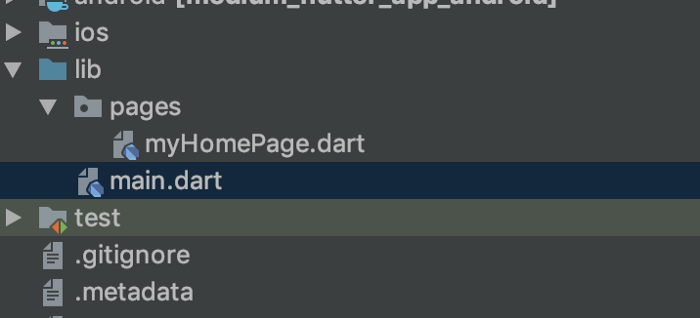 Folder structure of our Flutter project