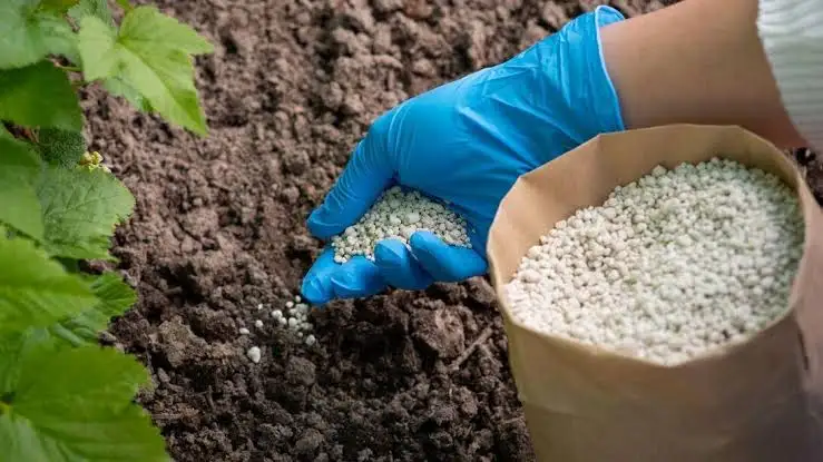 EXCLUSIVE REPORT – The Strategic Expansion of Russia's Fertilizer Exports to India, Africa and Brazil and the inadequacy of Greece's Ministers and Prime Ministers in the EU who have never supported the interests of our Homeland.