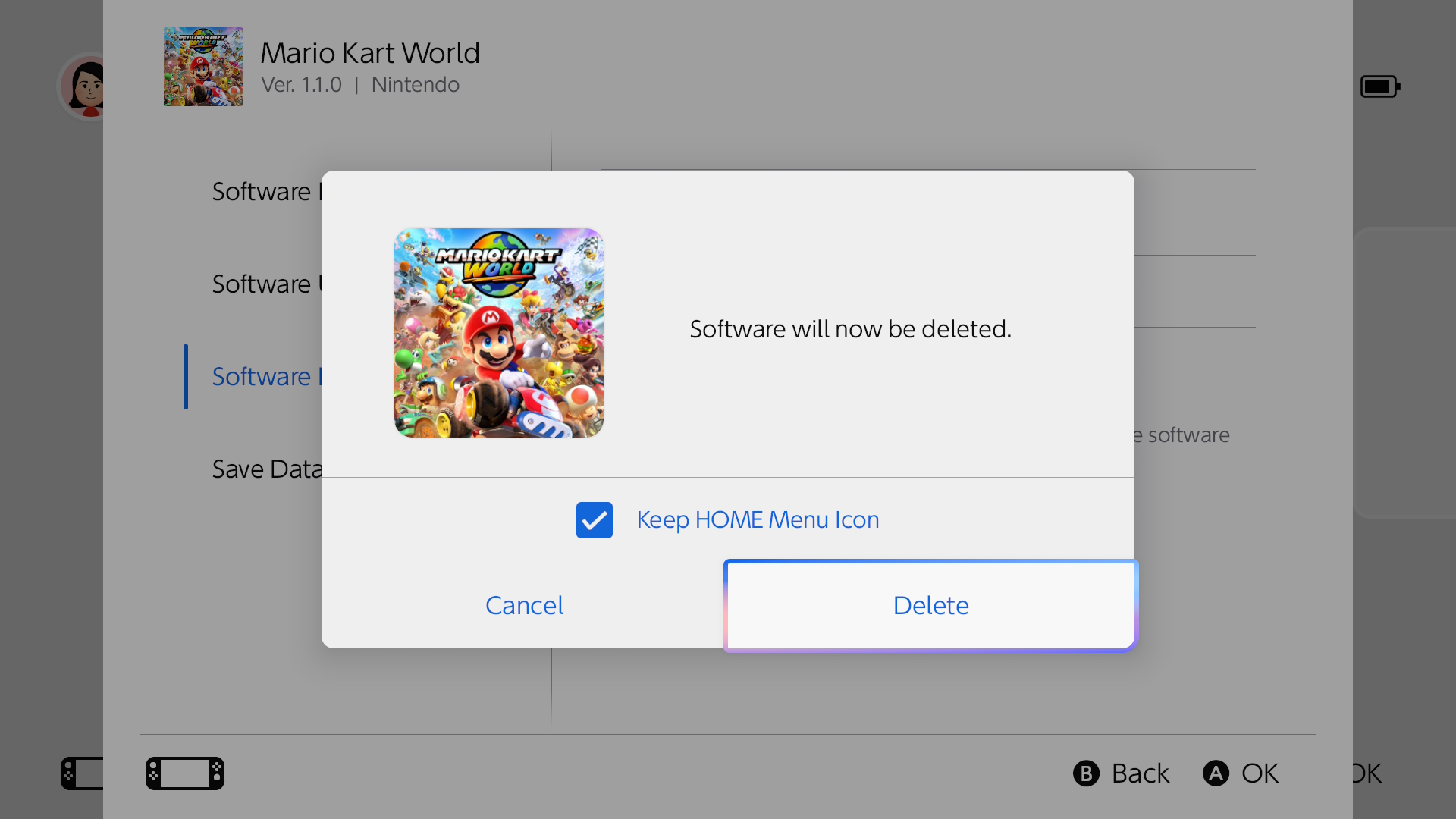 Delete Data | Nintendo Switch 2 Support | Nintendo Support