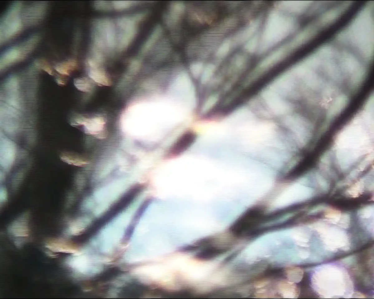 still 5