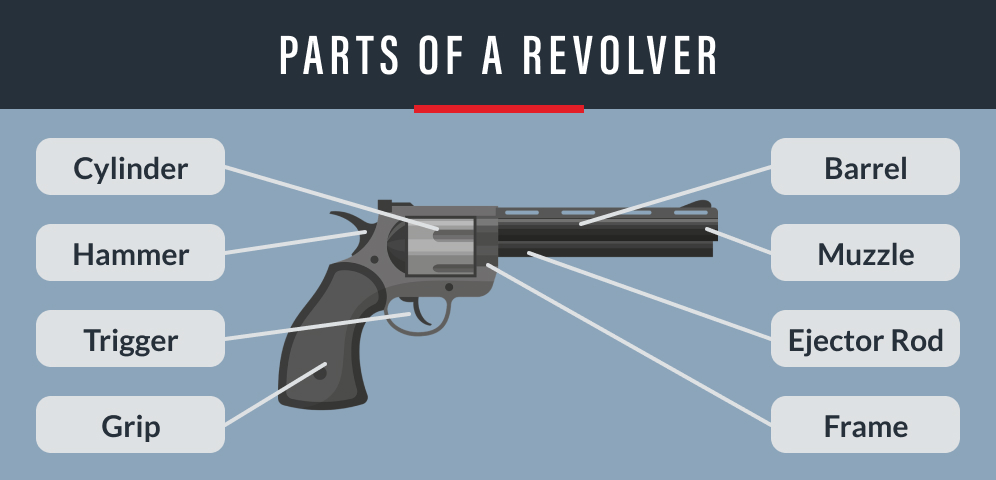 Parts of a Gun graphic 2