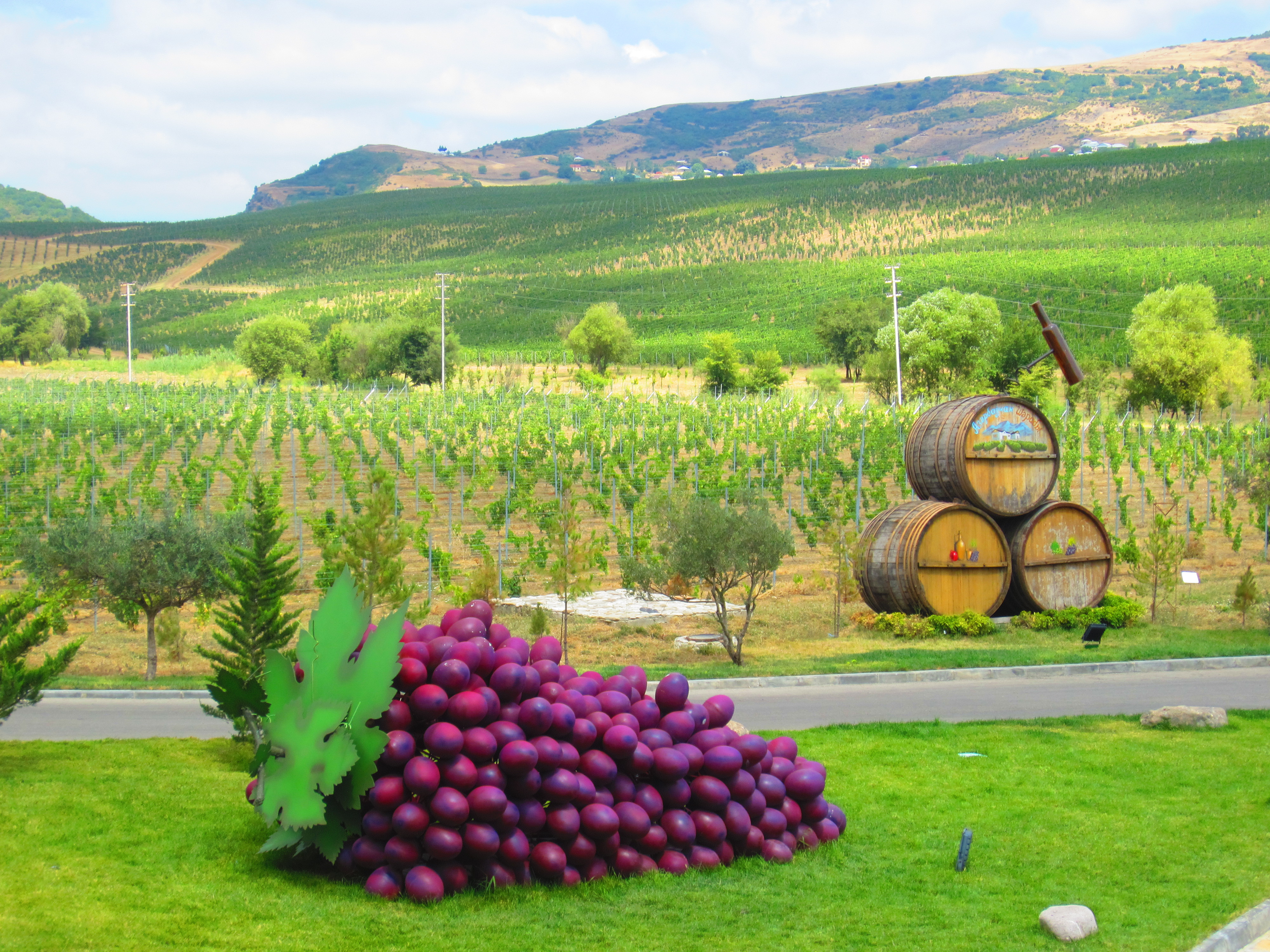 Organic Wine Tour Shamakhi