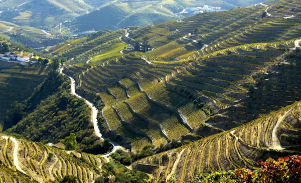 Quinta do Crasto