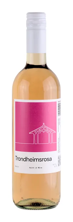 Trondheimsrosa