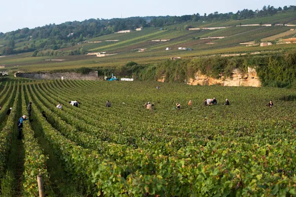 Domaines Aimé Arnoux