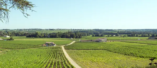 Château Haut-Badette