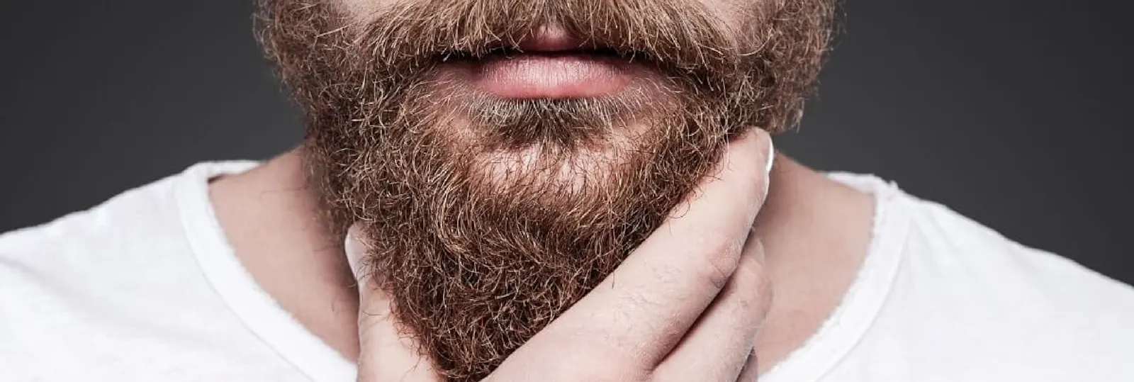 La Bibbia per la Cura della Barba