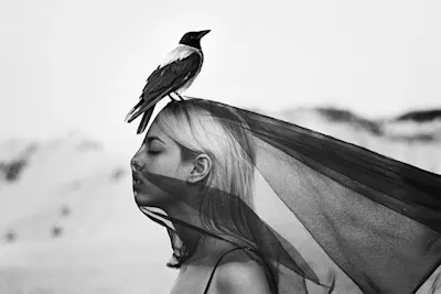 Raven on head of a woman wearing a black veil.