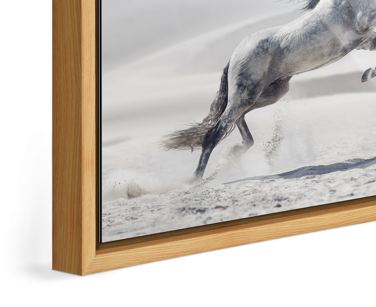 Close up of the image of a white horse jumping in a desert landscape framed in a Floater Frame.