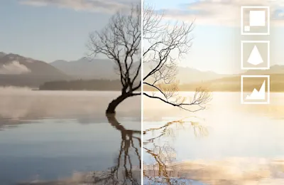 Geteiltes Bild mit Baum im Wasser, links in niedriger, rechts in erhöhter Auflösung mit Symbolen.