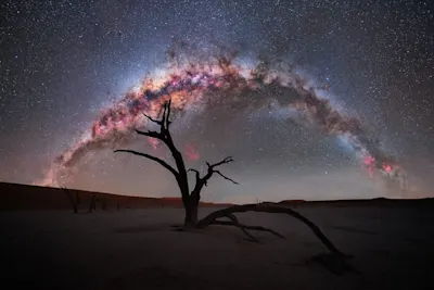 A bare tree in the desert, above it a starry sky with an arching galaxy.