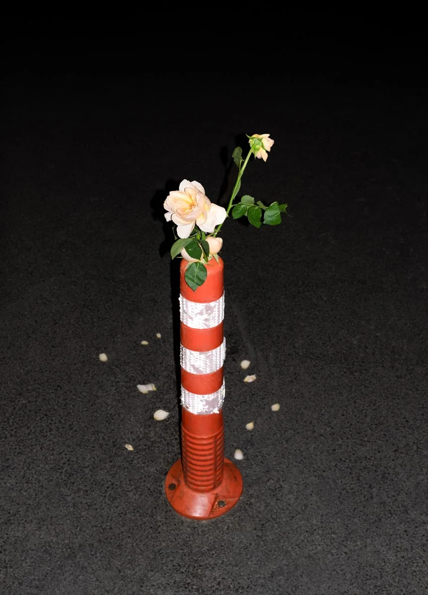 A red and white striped barrier with a yellow rose on it. Petals are scattered on the asphalt.