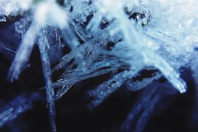 Macro photography of ice crystals - Photo by Jasmin Rex.