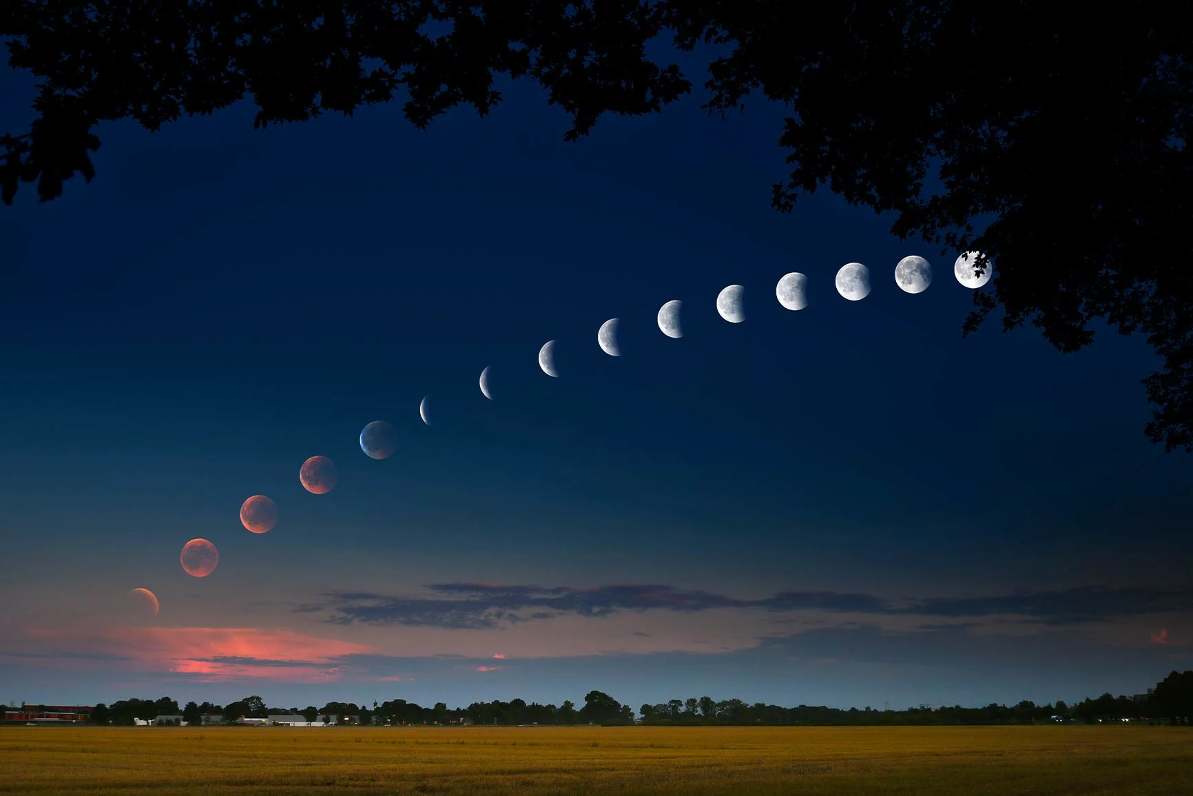 Moon phases in an arc above a landscape at sunset, trees at the upper edge of the picture.