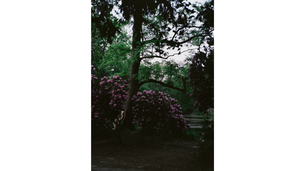 A picture in a park with a couple in an intimate moment on the left side of the picture