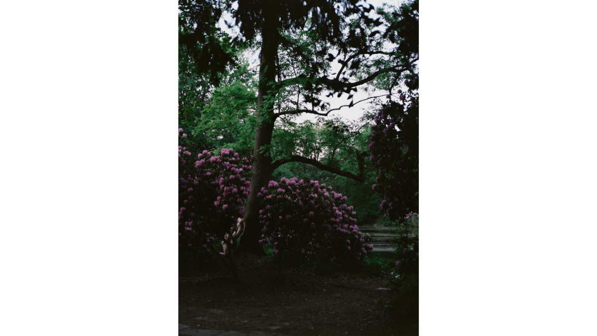 A picture in a park with a couple in an intimate moment on the left side of the picture