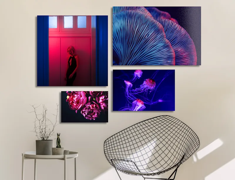 Vier Fine Art Prints auf Alu-Dibond an einer Wand.