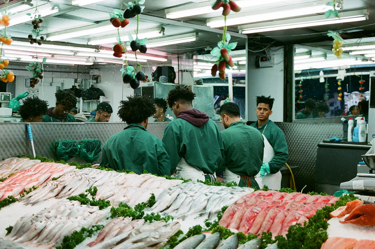 Four young men in green working clothes working behind a fresh fish counter.