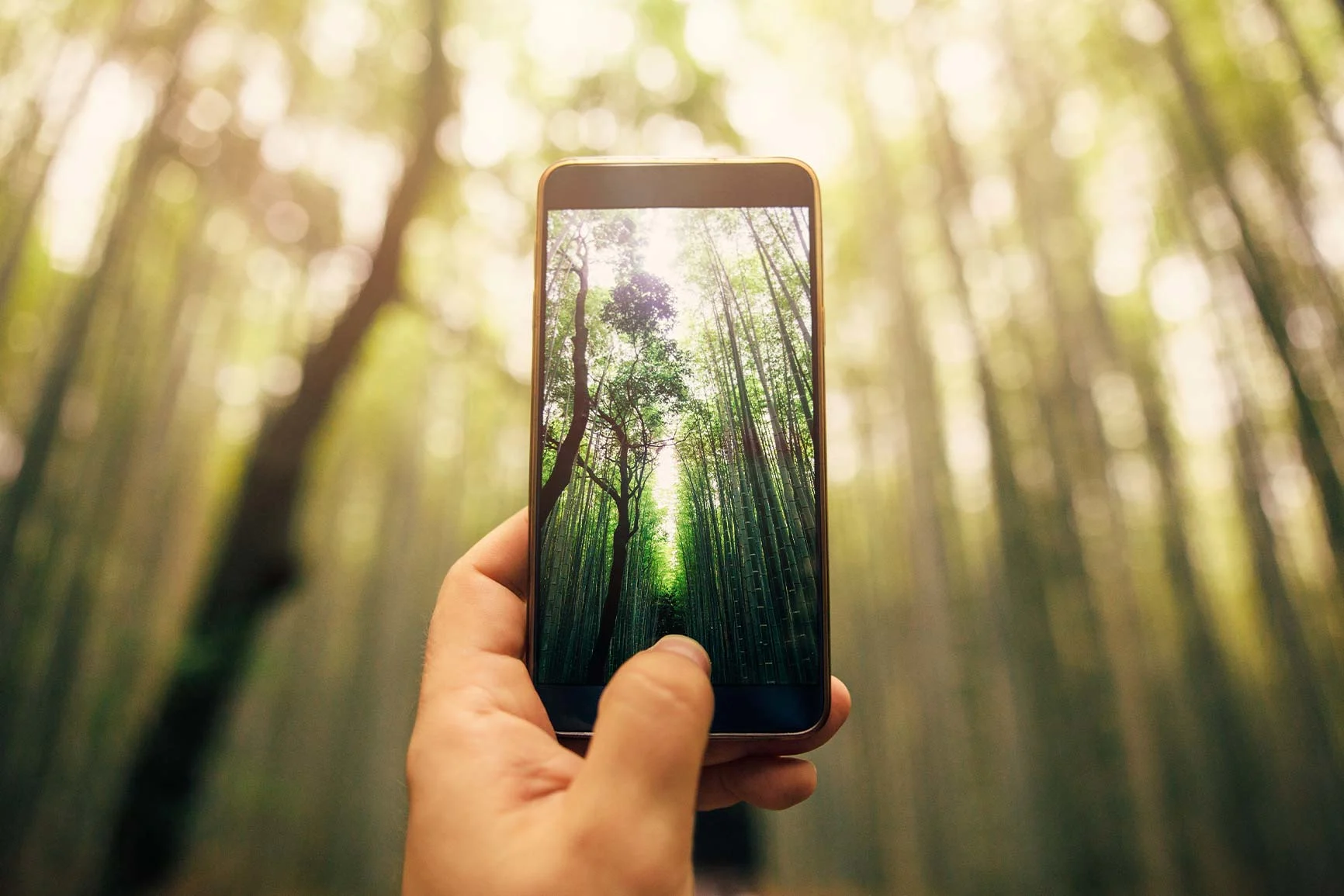 Main tenant un smartphone avec un motif forestier, arbres flous en arrière-plan et lumière du soleil.