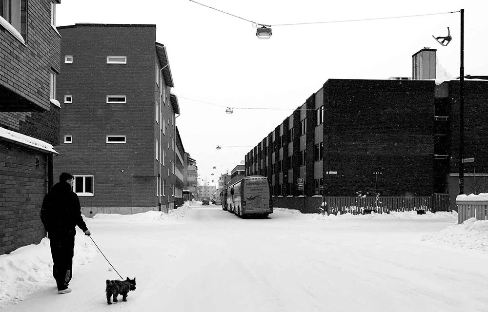 Man walking his dog on a snowy street, in the background on a roof a snowboarder landing a trick.