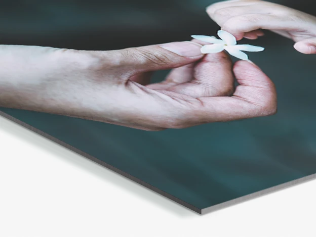close up of a hand giving a child's hand a flower as a HD Metal Print - photo by Anastasia Prodous.