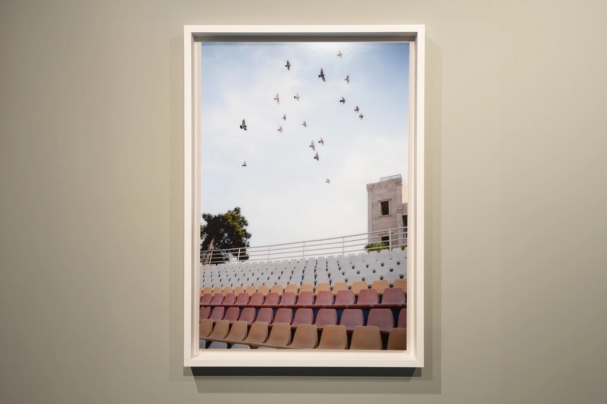 Terreno comune in campo / Iran | 2015.