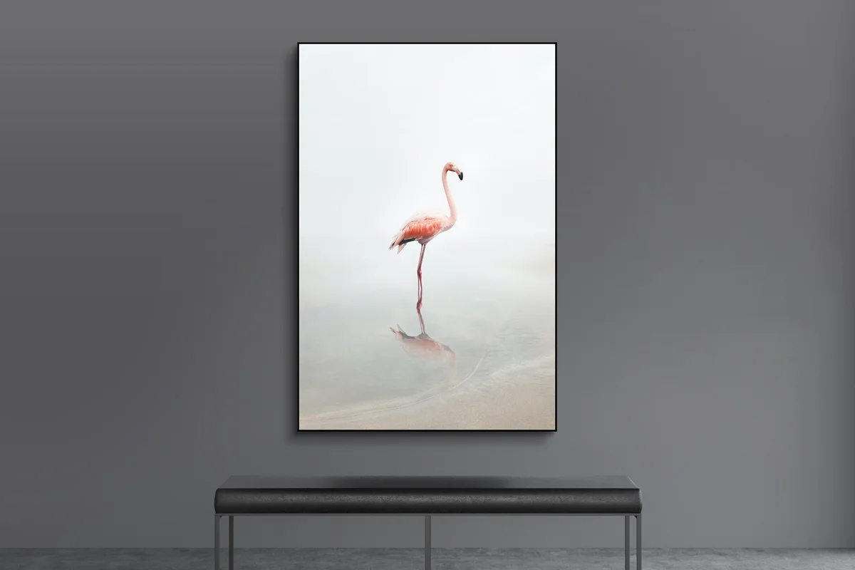 Manipulation d'une photo de flamant rose sur un fond d'eau vague.