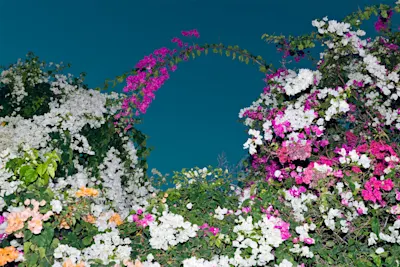 Colourful atmospheric bush with flowers.