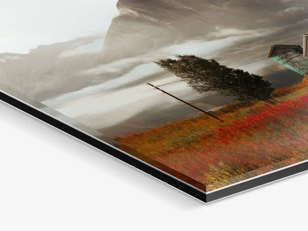 Close-up of a landscape as an original photo print under matte acrylic glass.