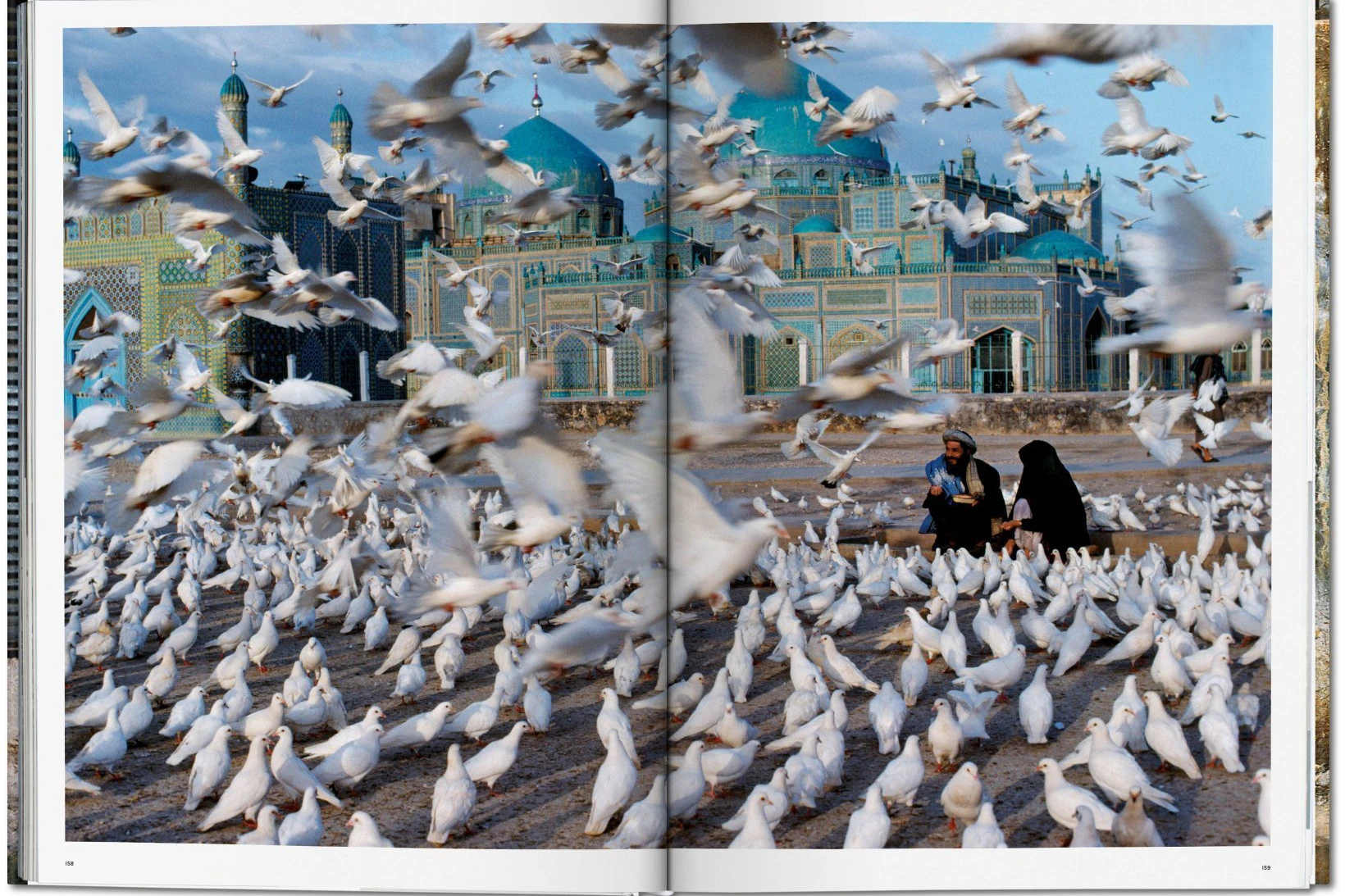 two humans sitting among birds in front of a mosque - photo by Steve McCurry.